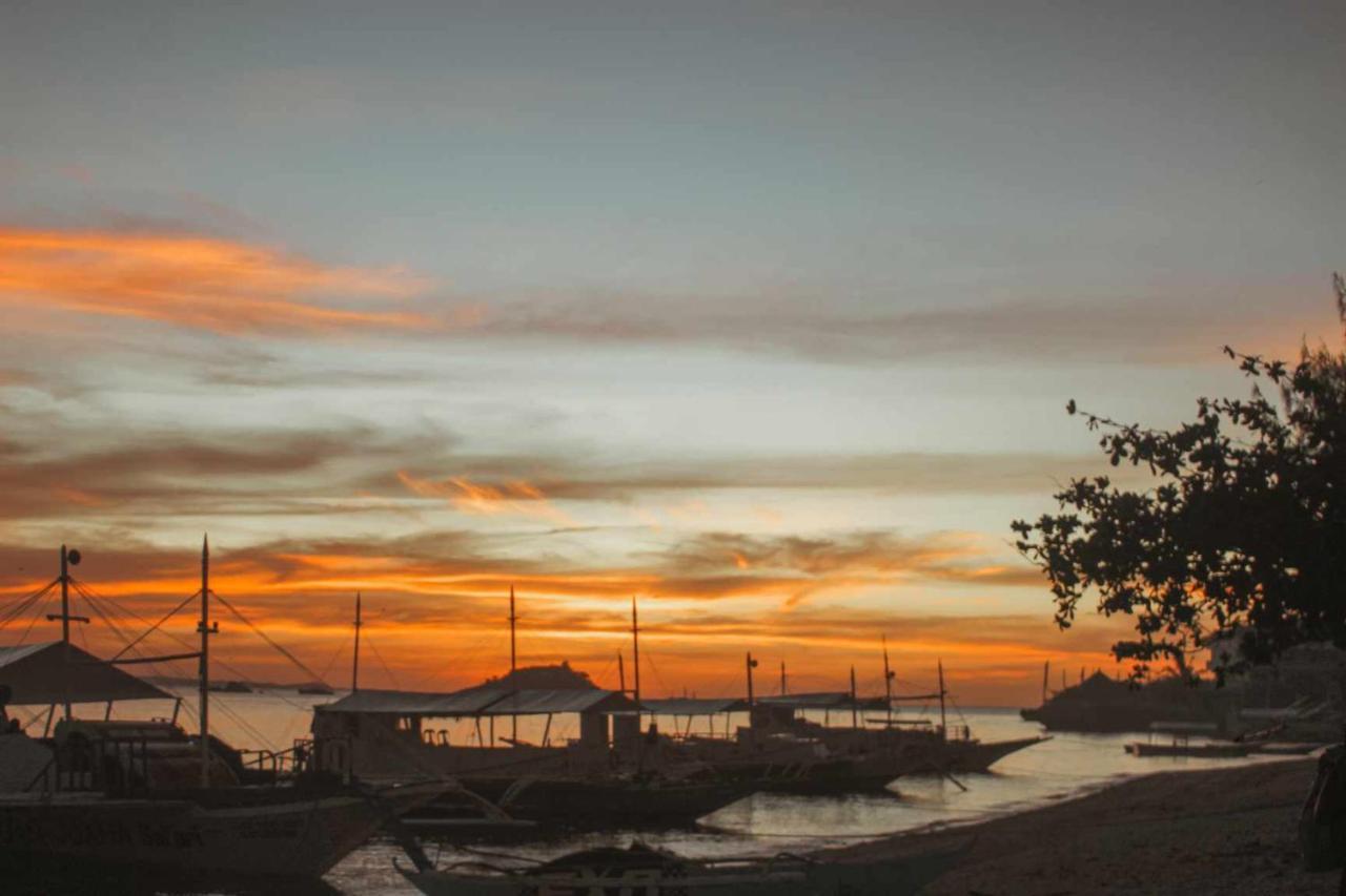 Blue Dolphin Hotel Malapascua Island Экстерьер фото
